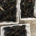 澳洲淡水龙虾苗