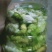 豆虫