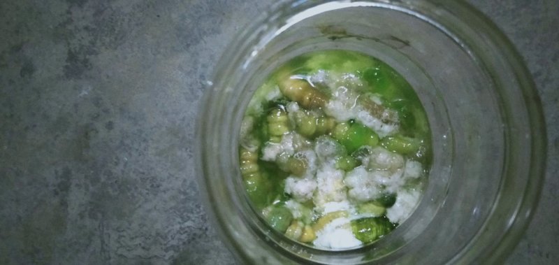 豆虫