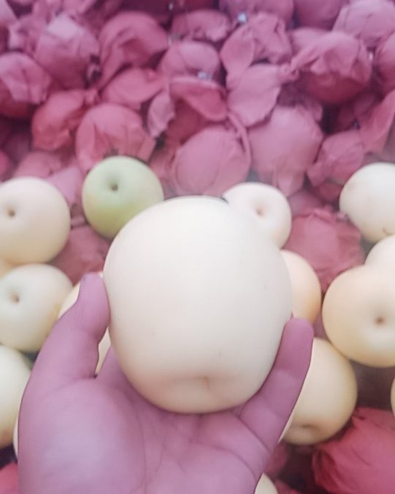 阳信纸袋鸭梨精品
