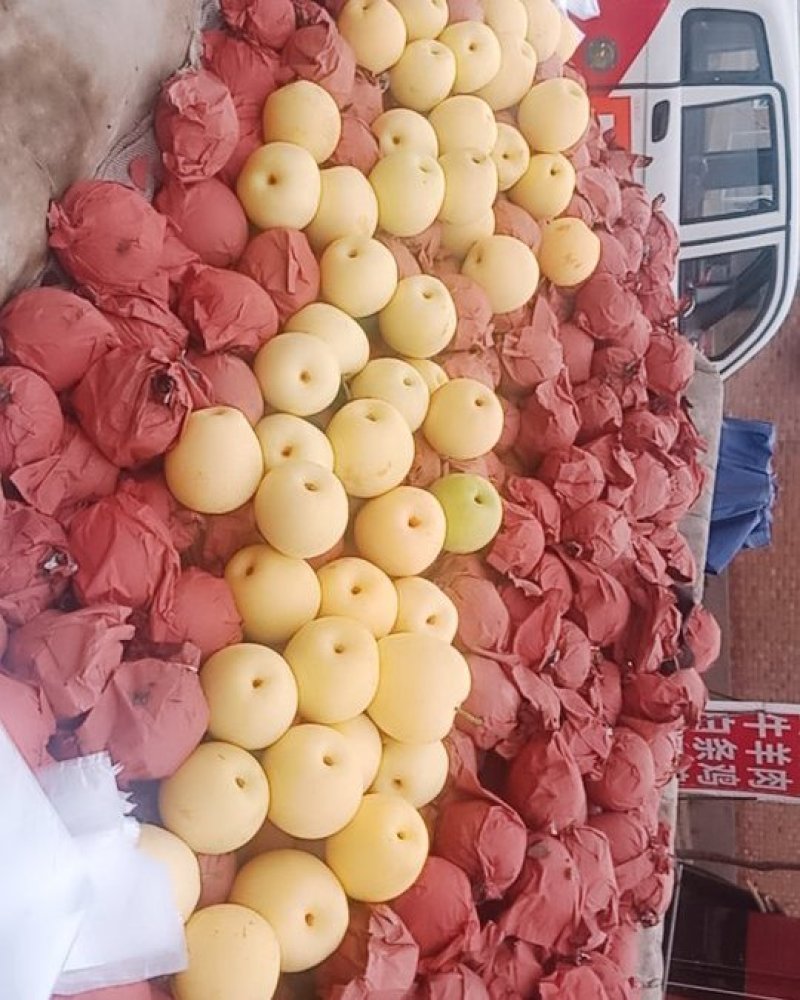 阳信纸袋鸭梨精品