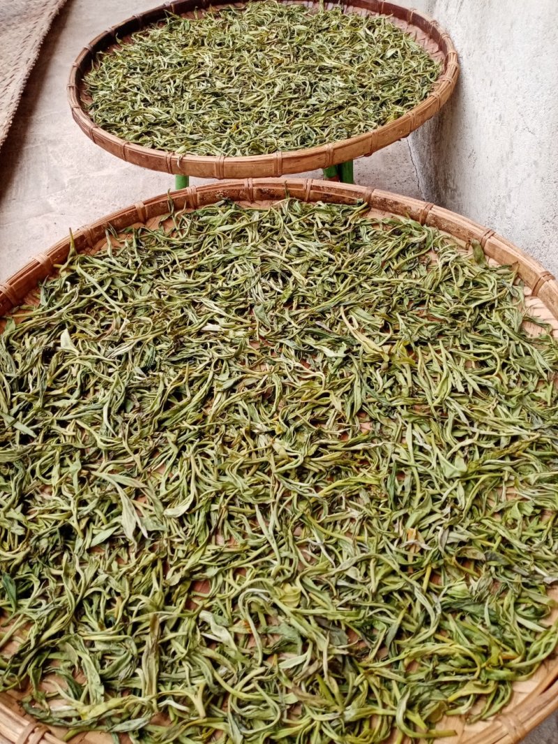布朗山山头纯料纯手工炒作生茶。