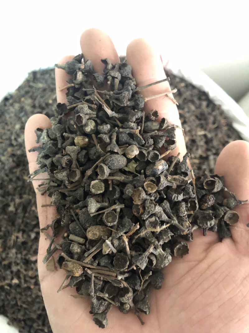 香料大全桂子特级肉桂籽调味料1公斤起批