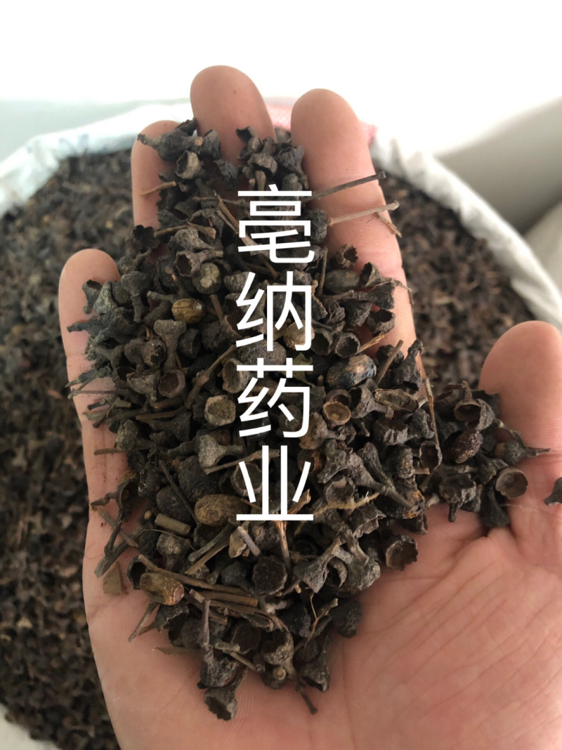香料大全桂子特级肉桂籽调味料1公斤起批