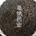 香料大全桂子特级肉桂籽调味料1公斤起批