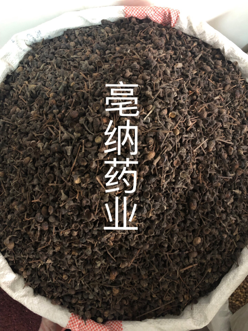 香料大全桂子特级肉桂籽调味料1公斤起批