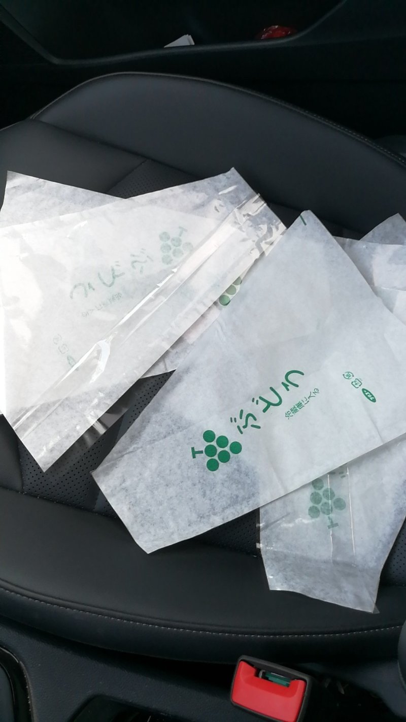 梯形纸加膜一体葡萄包装袋果蔬防雾保鲜袋鲜花包装袋