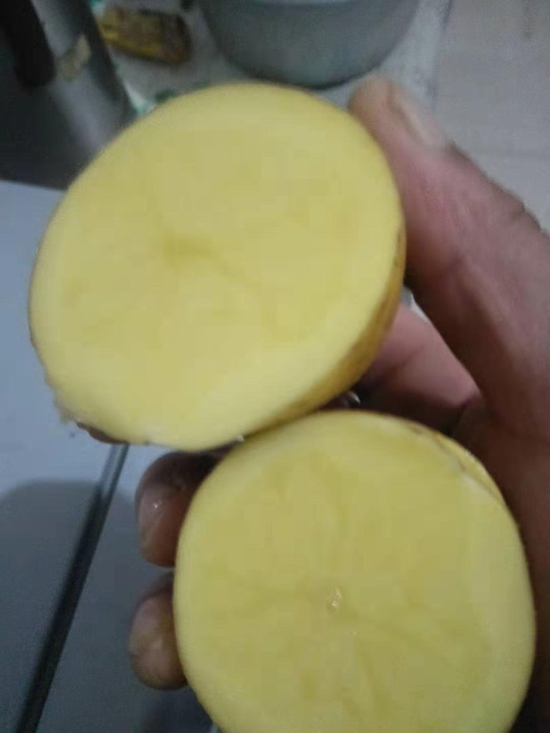 土豆