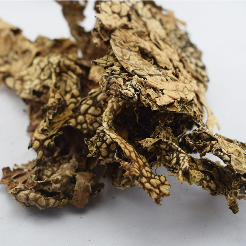 老龙皮石龙皮石龙衣供应上千种中药材批发零售量大从优