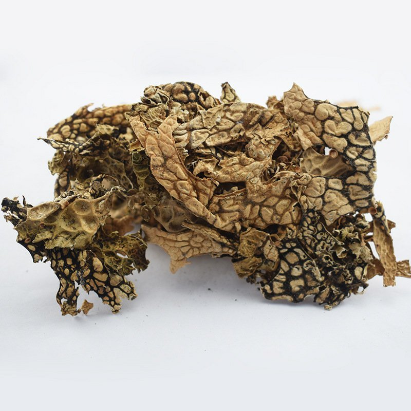 老龙皮石龙皮石龙衣供应上千种中药材批发零售量大从优