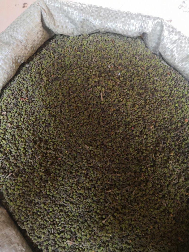 吴茱萸今年新货江西小花吴茱萸，青色小花吴茱萸