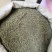 吴茱萸今年新货江西小花吴茱萸，青色小花吴茱萸