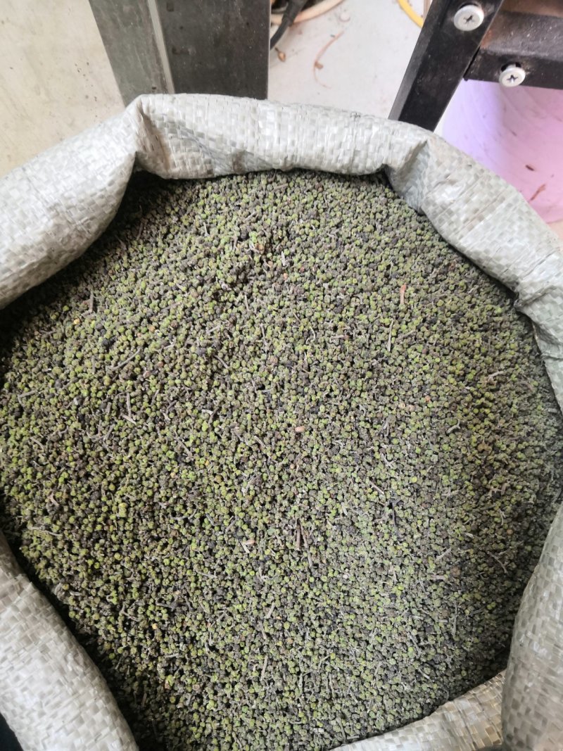 吴茱萸今年新货江西小花吴茱萸，青色小花吴茱萸