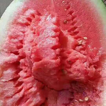 西瓜
