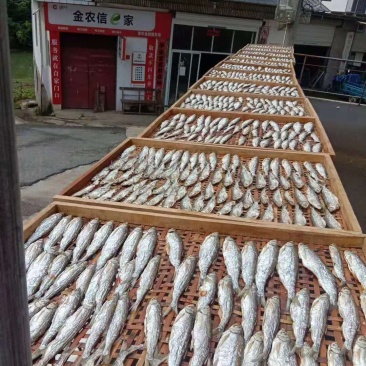 生态鱼干