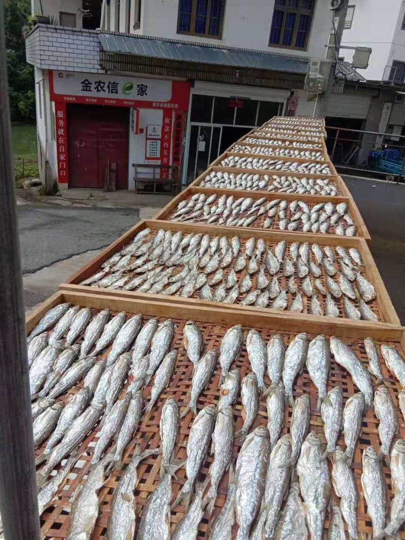 生态鱼干