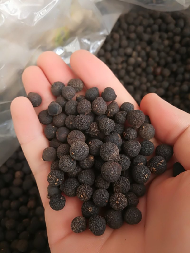 胎柑小胎柑可泡茶可煲汤