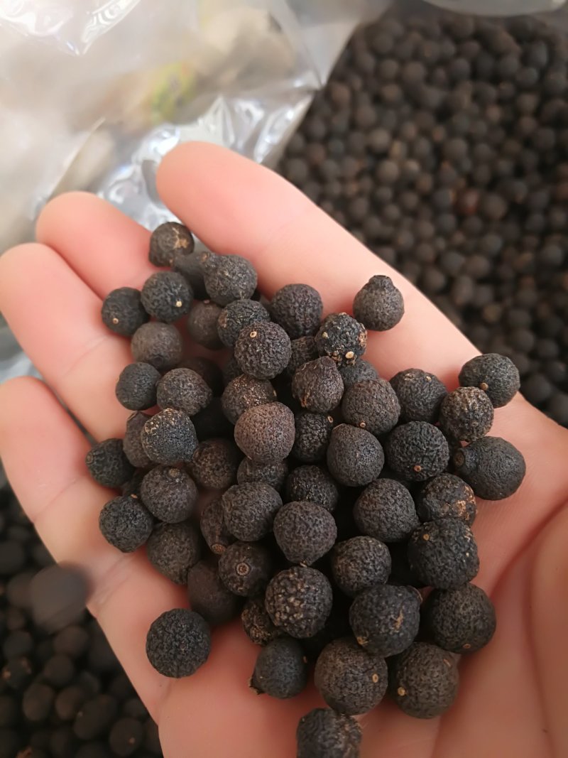 胎柑小胎柑可泡茶可煲汤