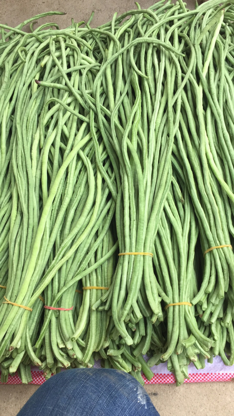 干豆角