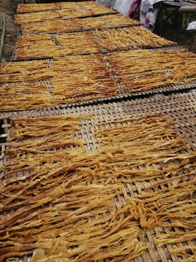 笋干广东英德产地直销麻竹笋干本地靓麻竹笋花麻竹笋苗