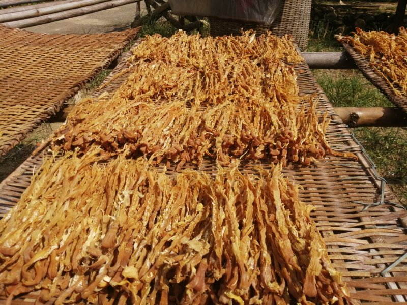 笋干广东英德产地直销麻竹笋干本地靓麻竹笋花麻竹笋苗