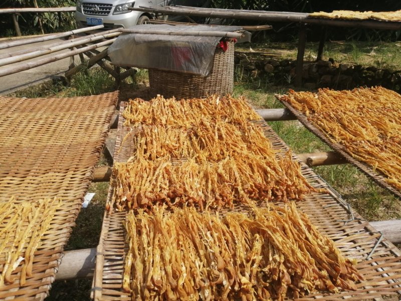 笋干广东英德产地直销麻竹笋干本地靓麻竹笋花麻竹笋苗