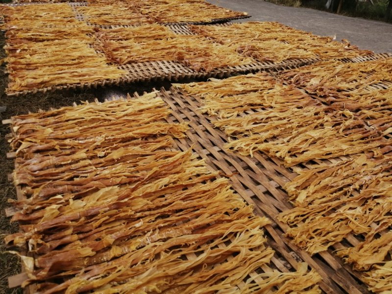 笋干广东英德产地直销麻竹笋干本地靓麻竹笋花麻竹笋苗