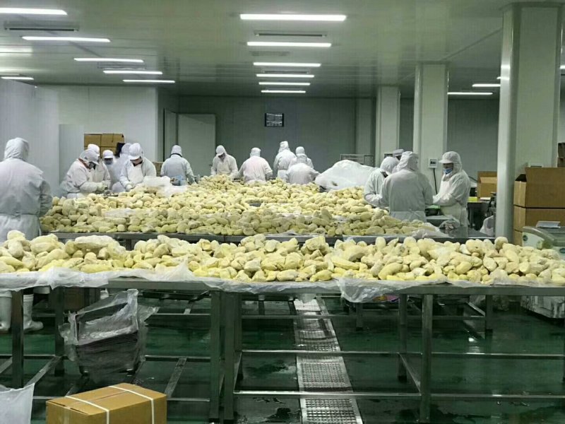 金枕头榴莲肉冷冻无核榴莲媲美猫山王烘培原料250克去核