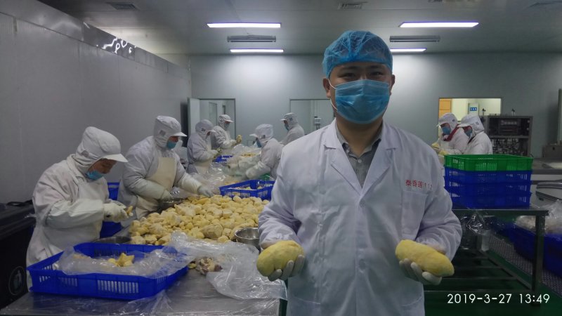 金枕头榴莲肉冷冻无核榴莲媲美猫山王烘培原料250克去核