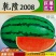 特大乾隆2008巨型西瓜种子大果高产原装100克