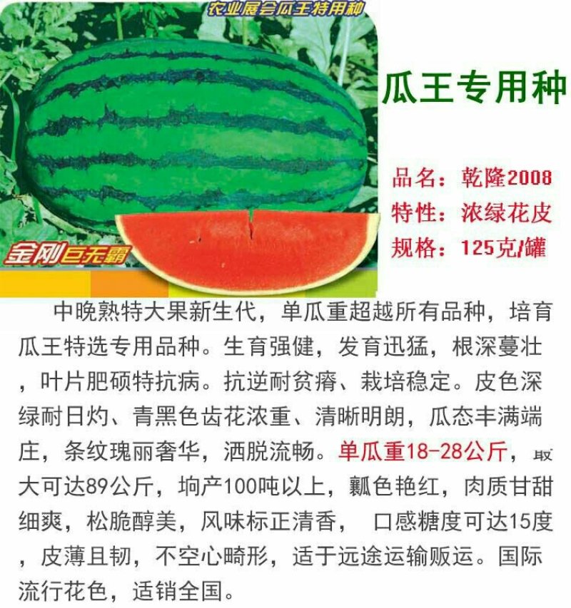 特大乾隆2008巨型西瓜种子大果高产原装100克