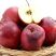 🍎🍎🍎正宗原产地【花牛】精品诚信经营大量供应