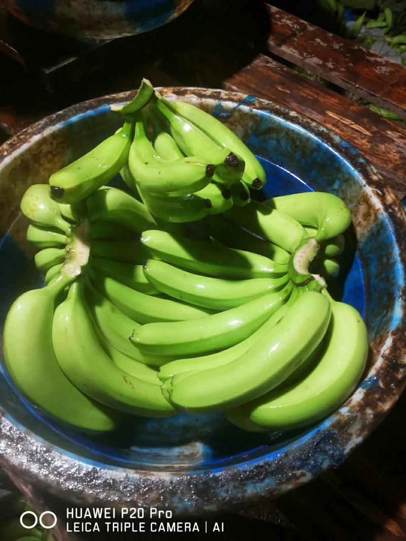 大量长期供应，云南河口本地香蕉，越南西贡香蕉，