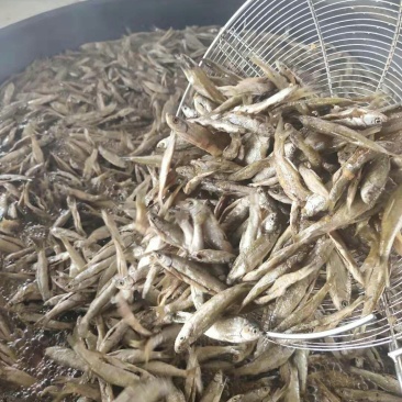 小鱼干油炸小餐鱼小白条鱼干小鱼仔干鱼干农家自制无盐