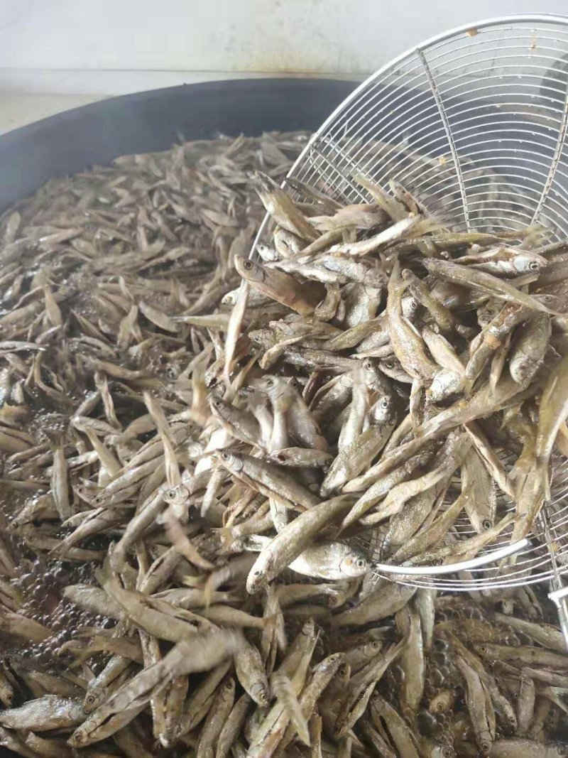 小鱼干油炸小餐鱼小白条鱼干小鱼仔干鱼干农家自制无盐
