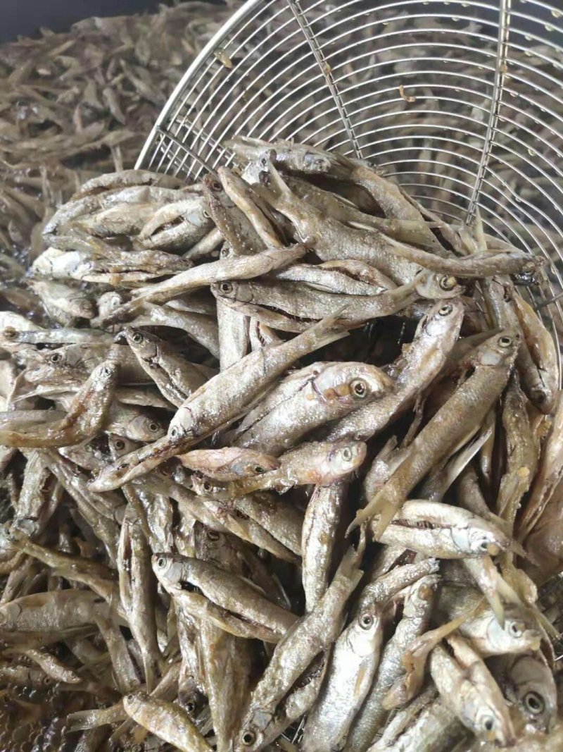 小鱼干油炸小餐鱼小白条鱼干小鱼仔干鱼干农家自制无盐