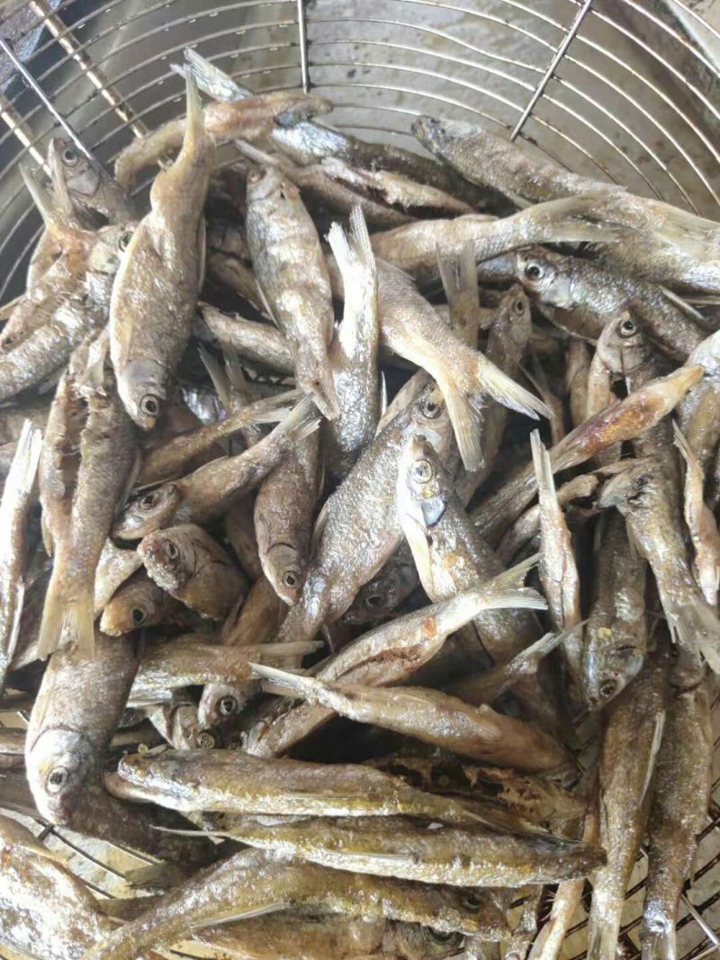 小鱼干油炸小餐鱼小白条鱼干小鱼仔干鱼干农家自制无盐