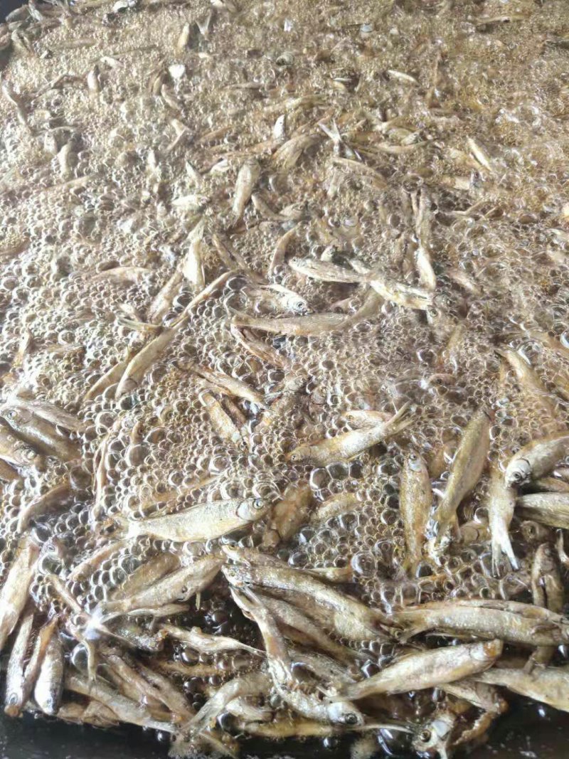 小鱼干油炸小餐鱼小白条鱼干小鱼仔干鱼干农家自制无盐