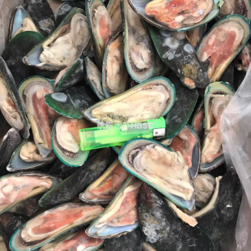 干冰包冰青口贝全规格可订做