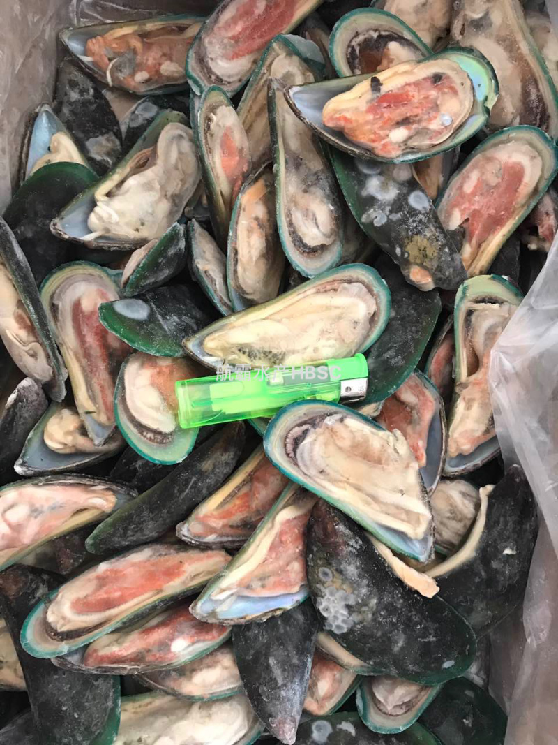干冰包冰青口贝全规格可订做