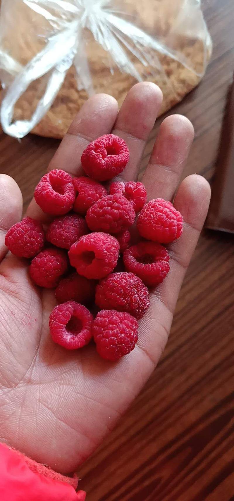 树莓冻果冻树莓速冻红树莓树莓冷库直供浩海浆果