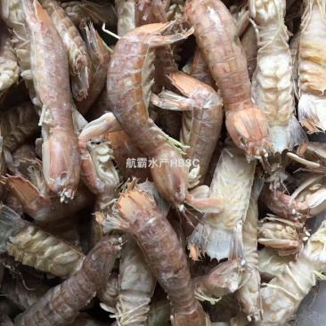 厂家直销皮皮虾爬爬虾小中大重量可定做