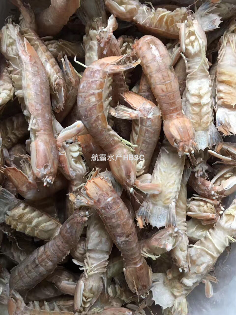 厂家直销皮皮虾爬爬虾小中大重量可定做