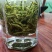 贵州高原绿茶毛峰茶清明茶干净放心的茶