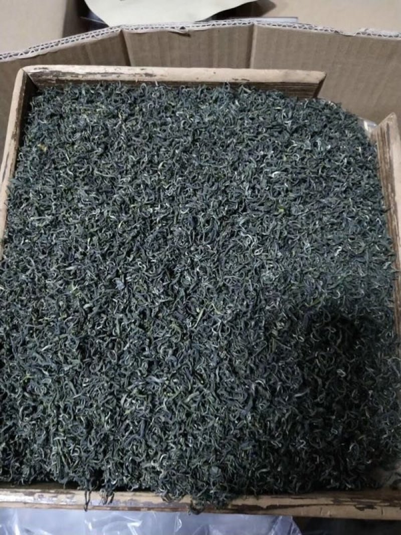 贵州高原绿茶毛峰茶清明茶干净放心的茶