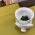 贵州高原绿茶毛峰茶清明茶干净放心的茶