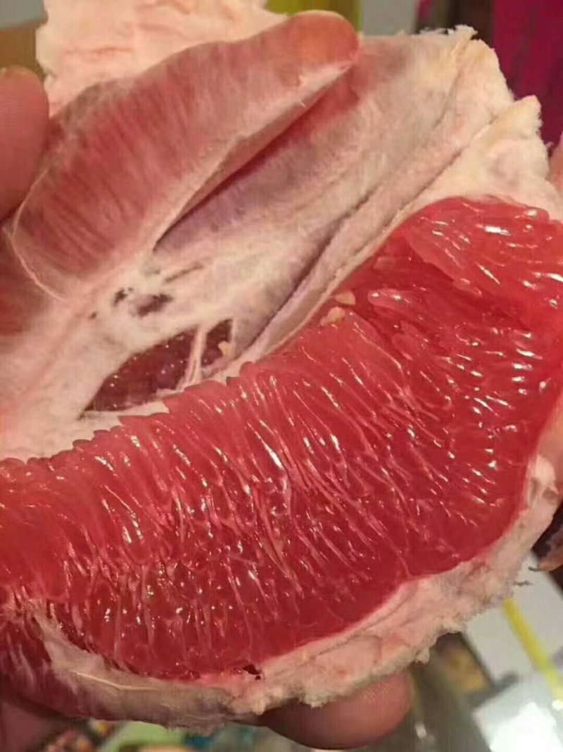 平和琯溪蜜柚