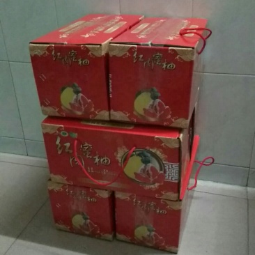 平和琯溪蜜柚