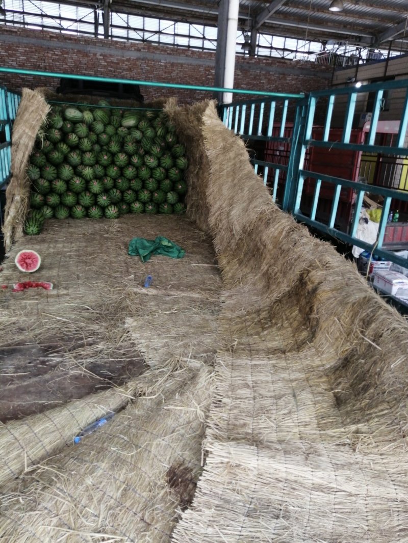 硒砂瓜15斤打底8.5成熟1茬。宁夏硒砂瓜的精品。
