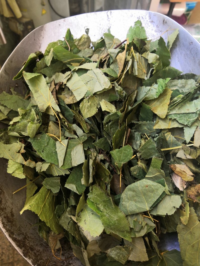 内蒙青淫羊藿，纯净货，量大从优淫羊藿